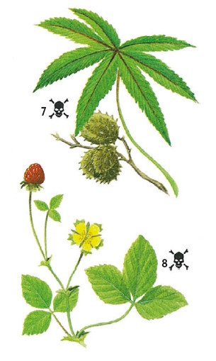 Иллюстрация к книге — Выживание везде и всегда [i_158.jpg]