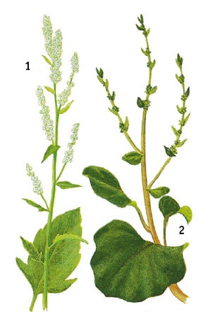 Иллюстрация к книге — Выживание везде и всегда [i_159.jpg]