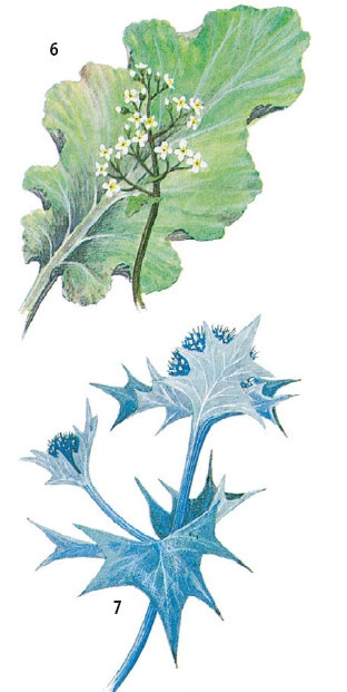 Иллюстрация к книге — Выживание везде и всегда [i_161.jpg]