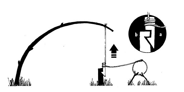 Иллюстрация к книге — Выживание везде и всегда [i_168.jpg]