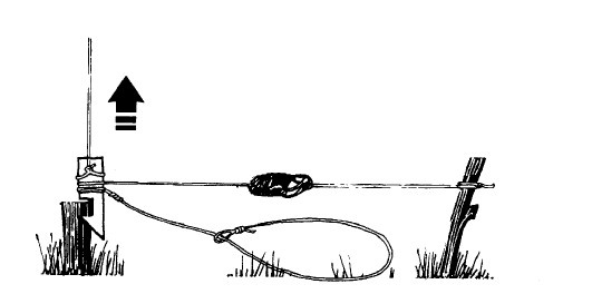 Иллюстрация к книге — Выживание везде и всегда [i_169.jpg]