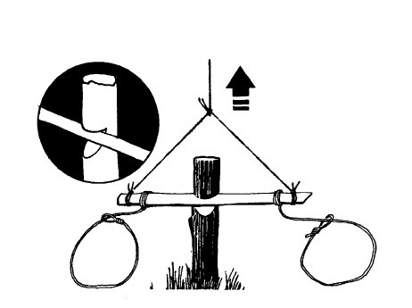 Иллюстрация к книге — Выживание везде и всегда [i_172.jpg]