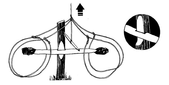 Иллюстрация к книге — Выживание везде и всегда [i_176.jpg]