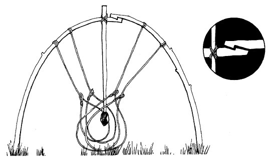 Иллюстрация к книге — Выживание везде и всегда [i_177.jpg]