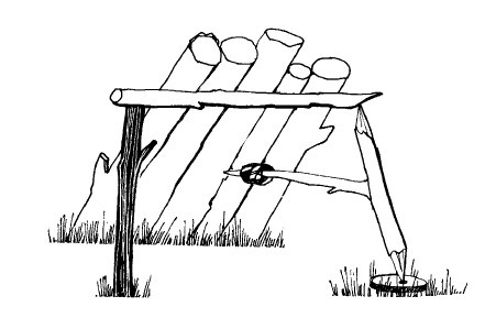 Иллюстрация к книге — Выживание везде и всегда [i_180.jpg]