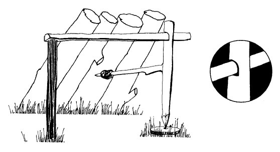 Иллюстрация к книге — Выживание везде и всегда [i_181.jpg]