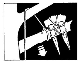 Иллюстрация к книге — Выживание везде и всегда [i_185.jpg]