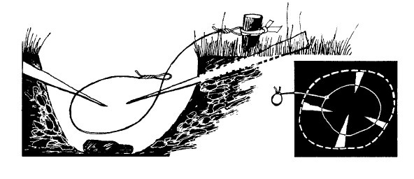 Иллюстрация к книге — Выживание везде и всегда [i_191.jpg]