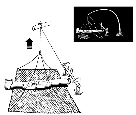 Иллюстрация к книге — Выживание везде и всегда [i_194.jpg]