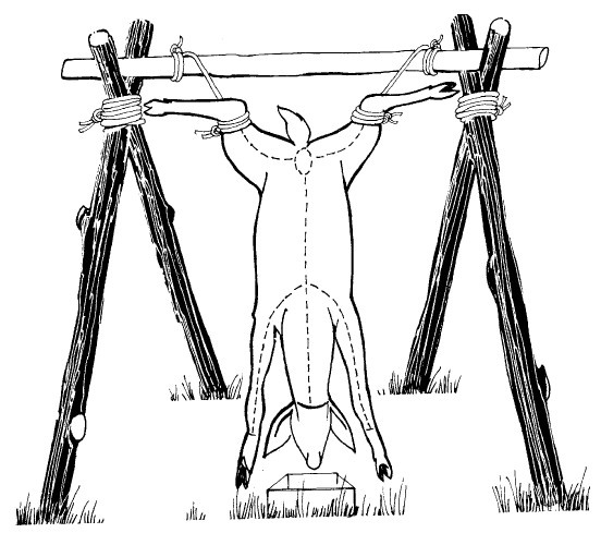 Иллюстрация к книге — Выживание везде и всегда [i_212.jpg]