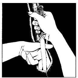 Иллюстрация к книге — Выживание везде и всегда [i_213.jpg]