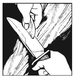 Иллюстрация к книге — Выживание везде и всегда [i_214.jpg]