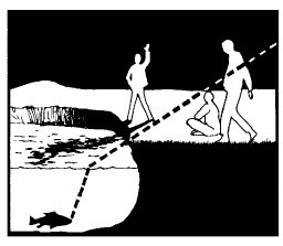 Иллюстрация к книге — Выживание везде и всегда [i_216.jpg]