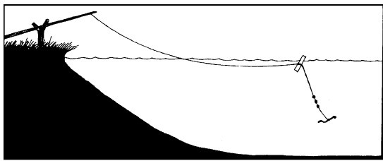 Иллюстрация к книге — Выживание везде и всегда [i_219.jpg]