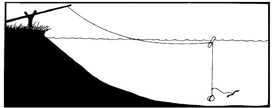 Иллюстрация к книге — Выживание везде и всегда [i_220.jpg]