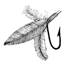 Иллюстрация к книге — Выживание везде и всегда [i_223.jpg]