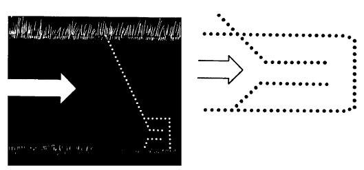Иллюстрация к книге — Выживание везде и всегда [i_229.jpg]