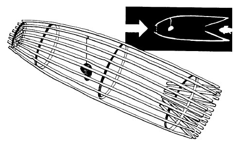 Иллюстрация к книге — Выживание везде и всегда [i_232.jpg]