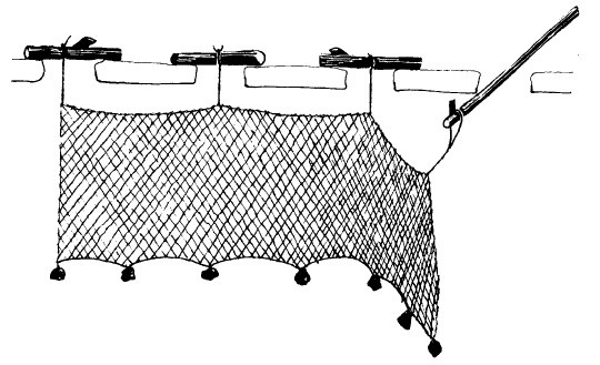 Иллюстрация к книге — Выживание везде и всегда [i_240.jpg]