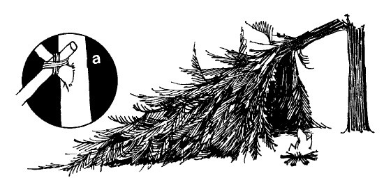 Иллюстрация к книге — Выживание везде и всегда [i_243.jpg]