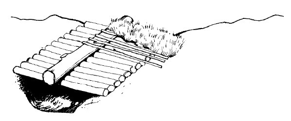 Иллюстрация к книге — Выживание везде и всегда [i_244.jpg]