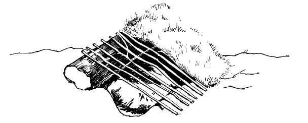 Иллюстрация к книге — Выживание везде и всегда [i_245.jpg]