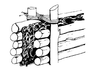 Иллюстрация к книге — Выживание везде и всегда [i_251.jpg]