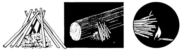 Иллюстрация к книге — Выживание везде и всегда [i_288.jpg]