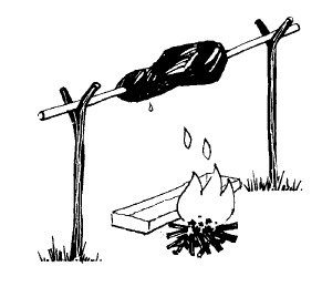 Иллюстрация к книге — Выживание везде и всегда [i_304.jpg]