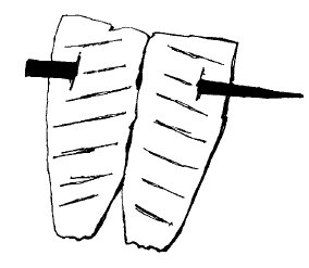 Иллюстрация к книге — Выживание везде и всегда [i_315.jpg]