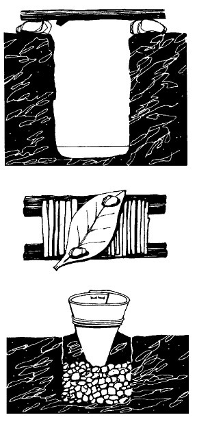 Иллюстрация к книге — Выживание везде и всегда [i_316.jpg]