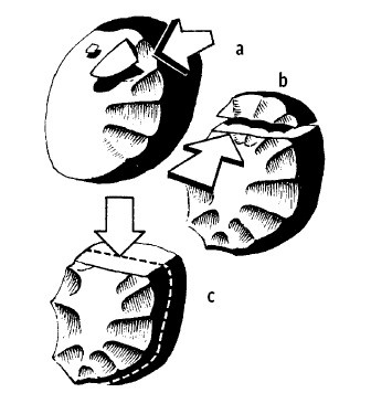 Иллюстрация к книге — Выживание везде и всегда [i_317.jpg]