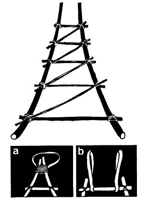 Иллюстрация к книге — Выживание везде и всегда [i_336.jpg]