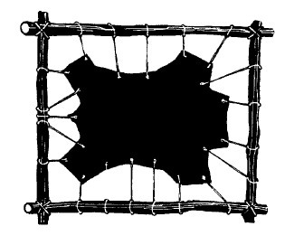 Иллюстрация к книге — Выживание везде и всегда [i_337.jpg]