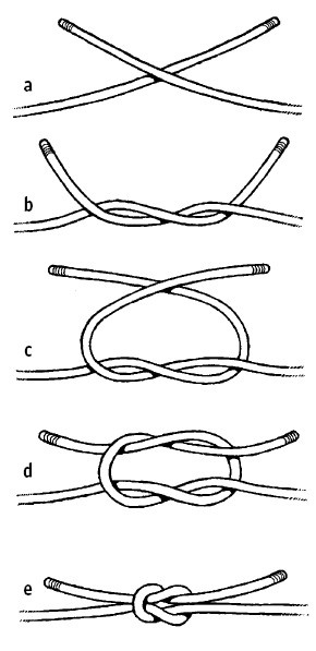 Иллюстрация к книге — Выживание везде и всегда [i_349.jpg]