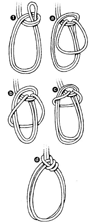 Иллюстрация к книге — Выживание везде и всегда [i_360.jpg]