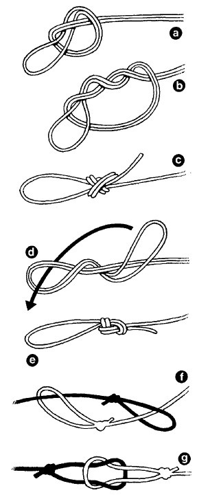 Иллюстрация к книге — Выживание везде и всегда [i_389.jpg]