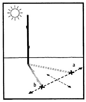 Иллюстрация к книге — Выживание везде и всегда [i_394.jpg]