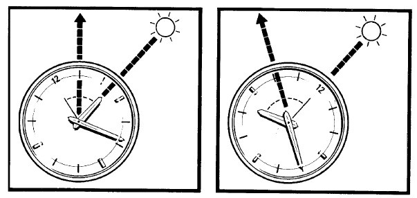 Иллюстрация к книге — Выживание везде и всегда [i_396.jpg]