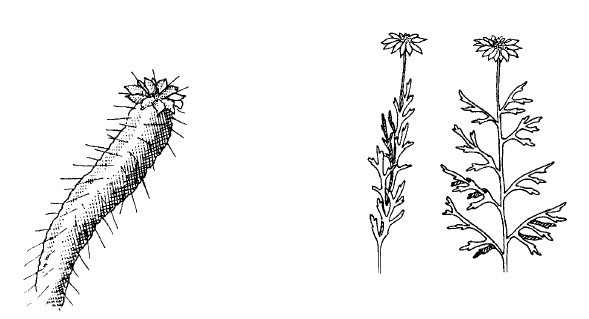 Иллюстрация к книге — Выживание везде и всегда [i_400.jpg]