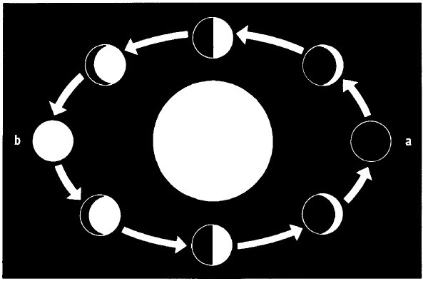 Иллюстрация к книге — Выживание везде и всегда [i_401.jpg]