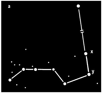 Иллюстрация к книге — Выживание везде и всегда [i_402.jpg]