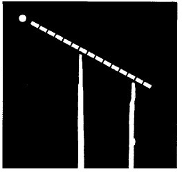 Иллюстрация к книге — Выживание везде и всегда [i_405.jpg]