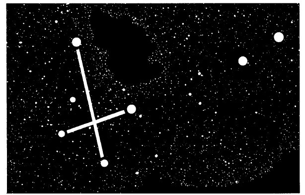 Иллюстрация к книге — Выживание везде и всегда [i_406.jpg]