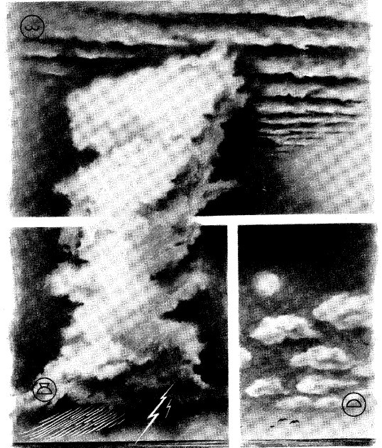 Иллюстрация к книге — Выживание везде и всегда [i_413.jpg]