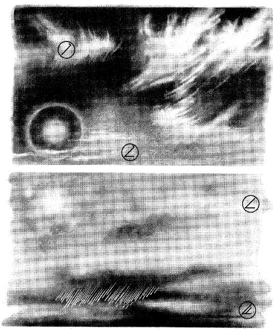 Иллюстрация к книге — Выживание везде и всегда [i_414.jpg]