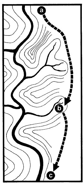 Иллюстрация к книге — Выживание везде и всегда [i_427.jpg]