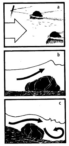 Иллюстрация к книге — Выживание везде и всегда [i_431.jpg]