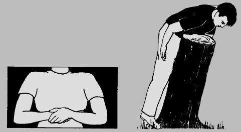 Иллюстрация к книге — Выживание везде и всегда [i_436.jpg]