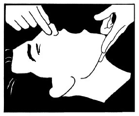 Иллюстрация к книге — Выживание везде и всегда [i_439.jpg]